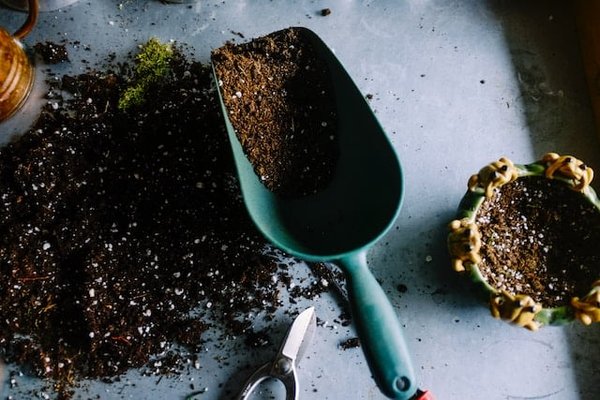 Quels sont les avantages d'utiliser le chlorate de soude dans le jardinage ?
