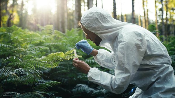 Quelles sont les plantes à éviter dans son jardin ?